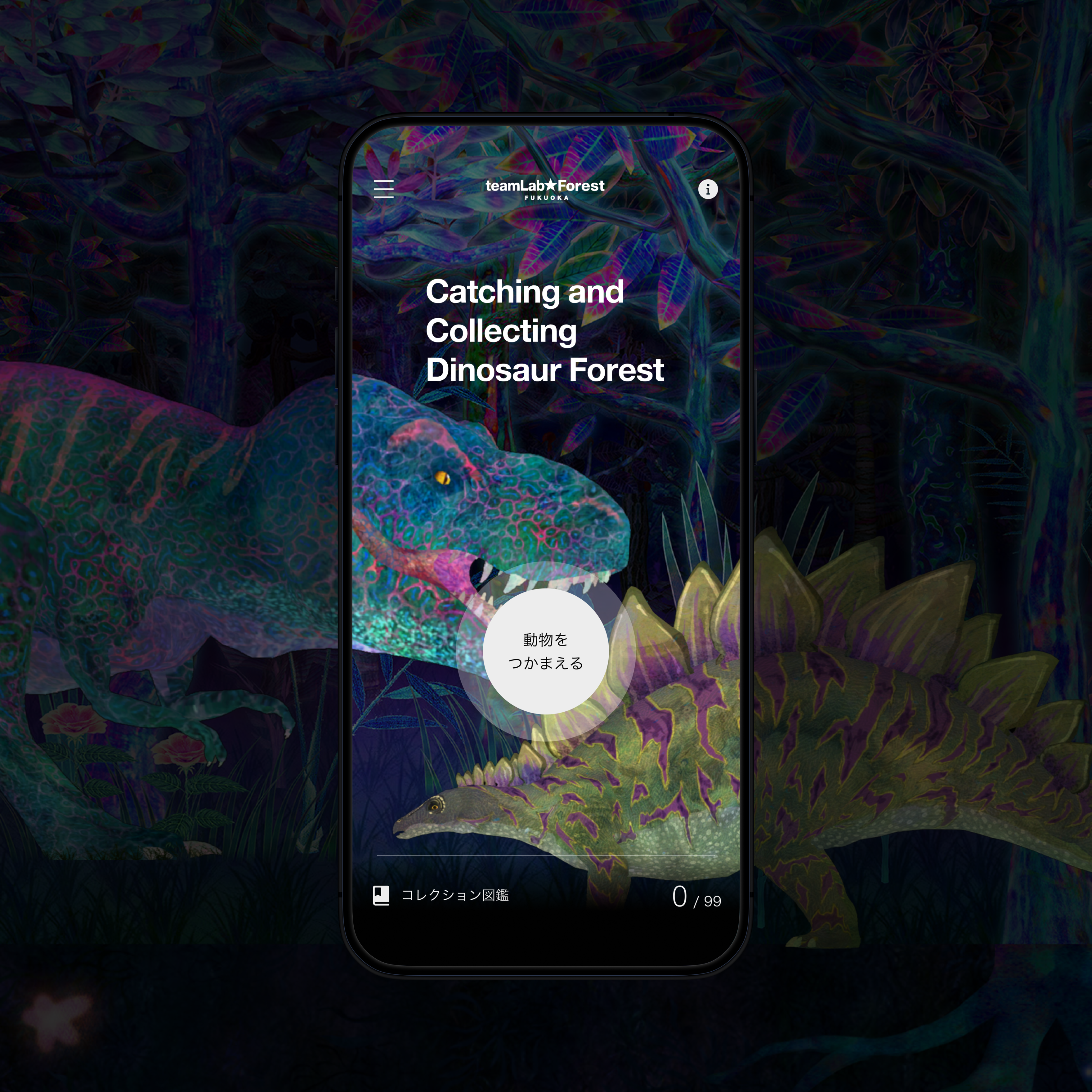 Collecting Forest