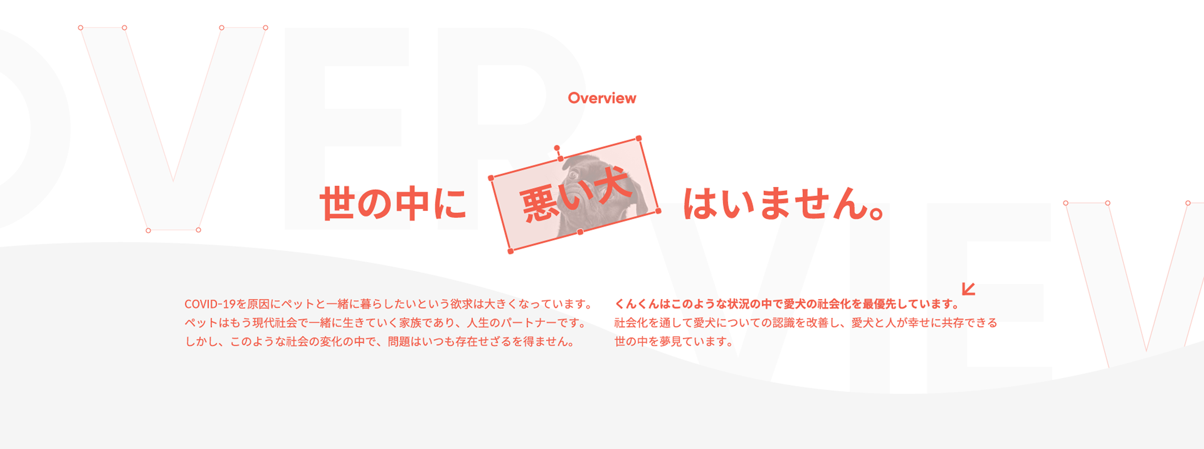 プロジェクト概要